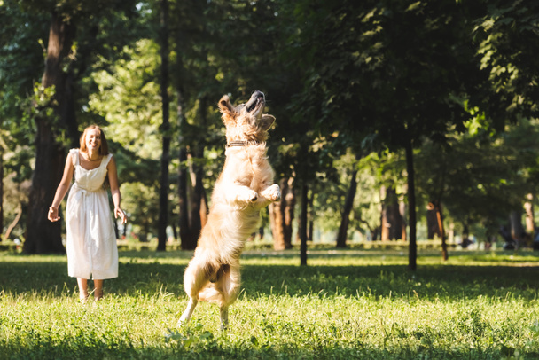 full length view of young girl in white dress smiling and looking at jumping golden retriever on meadow - 写真・画像