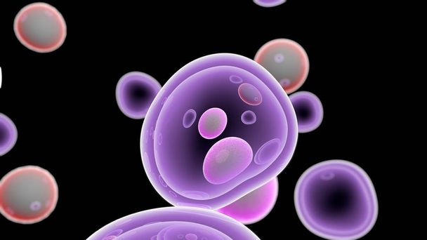 がん細胞を攻撃するT細胞-3Dイラスト - 写真・画像