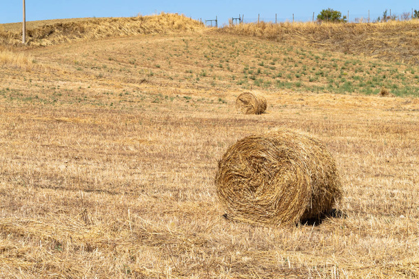 Сицилійська пейзаж з сіна тюки в полі після збору врожаю, Мацрино, Кальтаніссетта, Сицилія, Італія, Європа - Фото, зображення