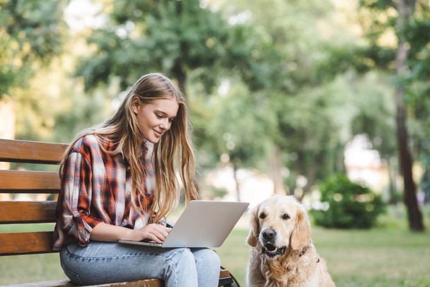 beautiful girl in casual clothes using laptop while sitting on wooden bench in park near golden retriever - Foto, immagini