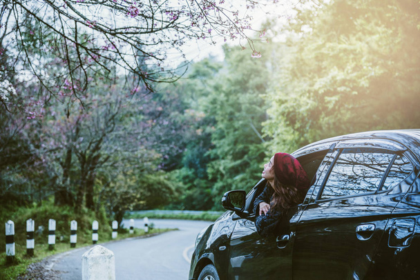 Aasian naiset matkustavat rentoutua lomalla. Matkalla parkkipaikalla. onnellisesti luonnon kanssa, vaaleanpunainen sakura kukka. Talvella
 - Valokuva, kuva