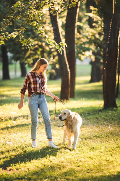 full length view of girl in casual clothes walking with golden retriever on meadow  - Photo, Image