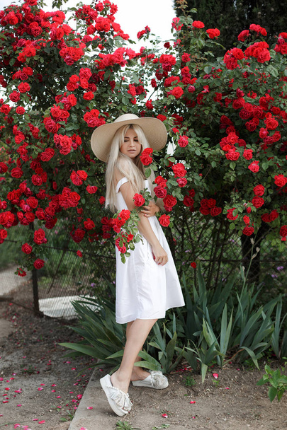 Perfume and cosmetics. Woman in front of blooming roses bush. Blossom of wild roses.  Aroma of roses. Girl adorable blonde sniffing fragrance of pink bloom. Young beautiful woman in a hat, near a large bush of red roses in the spring garden outdoors - Φωτογραφία, εικόνα