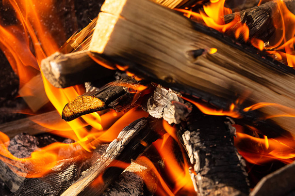brennende Holzscheite Kohlen hell orange Flamme Nahaufnahme Hintergrund bunt - Foto, Bild