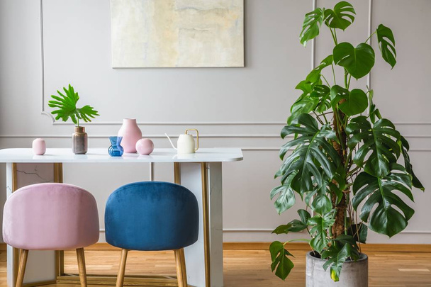 pink and blue chairs in grey interior with green plant - Fotoğraf, Görsel