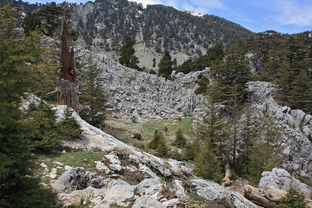 Paisaje escénico de montaña. Stone Valley. Relicto bosque de cedro del Líbano. Montar entre la cordillera de Tahtali y los picos adyacentes. Un grupo de turistas viaja en Lycian Way, Turquía
 - Foto, imagen