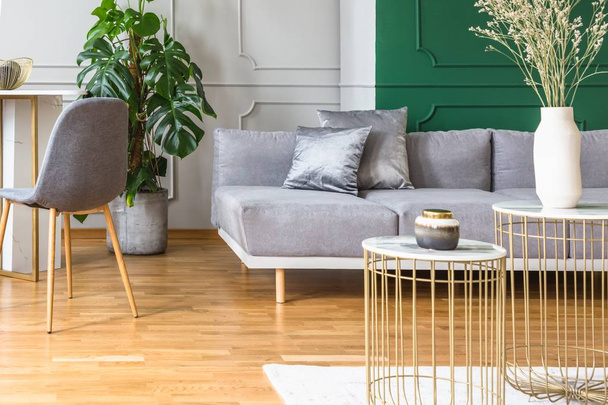 elegante soggiorno grigio e verde con dettagli dorati
 - Foto, immagini