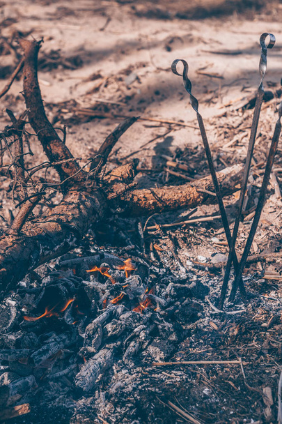 Three skewers stuck in the ground next to the fire - Фото, зображення