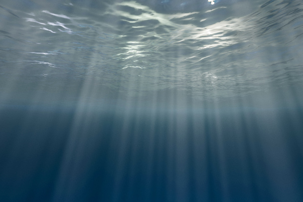 Onderwaterachtergrond - Foto, afbeelding