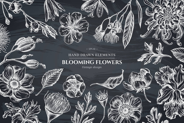 Floral design with chalk japanese chrysanthemum, blackberry lily, eucalyptus flower, anemone, iris japonica, sakura - Vektör, Görsel