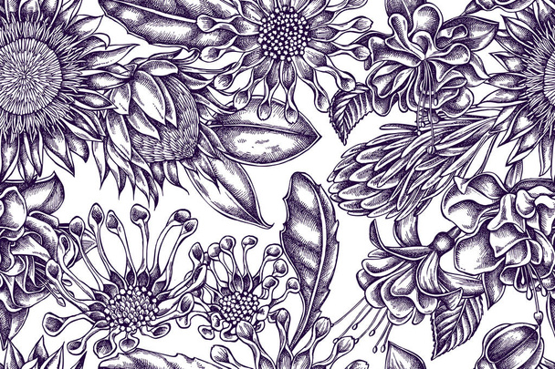 Artistic pattern with african daisies, fuchsia, king protea - Vecteur, image