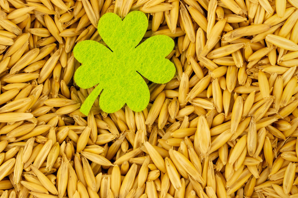 緑のシャムロックシンボルstパトリック日クローズアップベーシス穀物キビ - 写真・画像