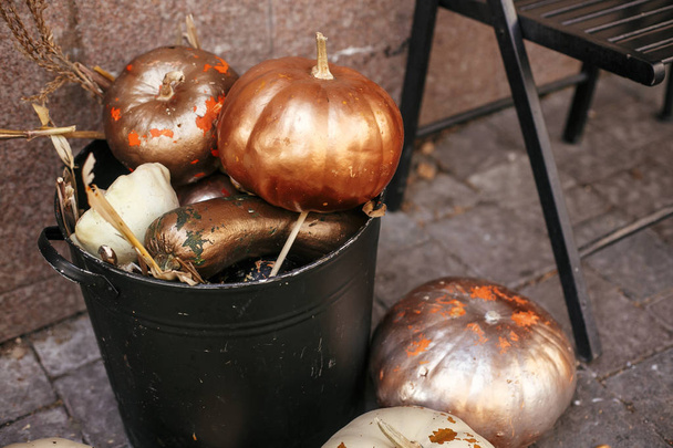 Stylish golden pumpkins and squash in city street, holiday decor - Photo, Image