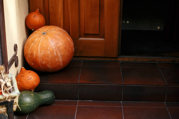 Pumpkins and squash in city street, holiday decorations store fr - Photo, Image