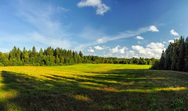 Zelené pole za slunného letního dne - Fotografie, Obrázek