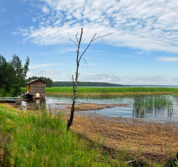 Brzeg jeziora Otradnoe w obwodzie leningradzkim - Zdjęcie, obraz