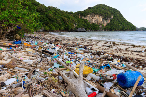 Znečištění z pláže - Fotografie, Obrázek