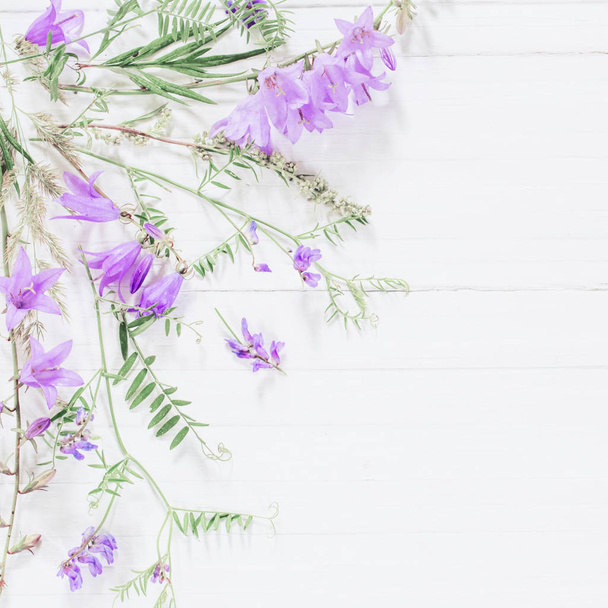 bellflower on white wooden background - Foto, imagen