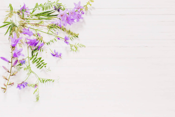 bellflower on white wooden background - Φωτογραφία, εικόνα