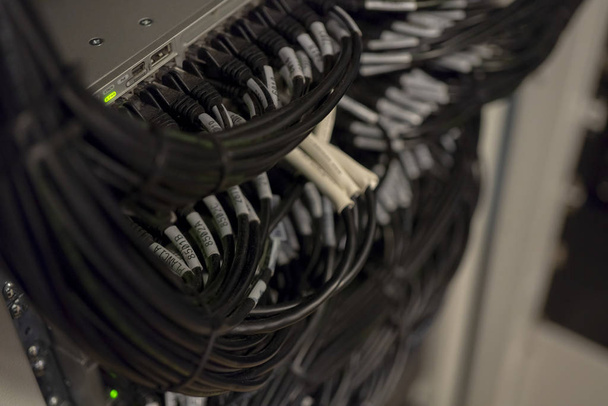 Καλώδια μεταγωγέα δικτύου και Ethernet έχουν συνδεθεί σε τοπικό δίκτυο και IP - Φωτογραφία, εικόνα
