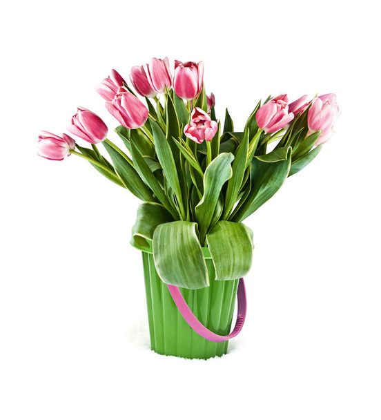 Tulips in a green bucket on snow - Photo, Image