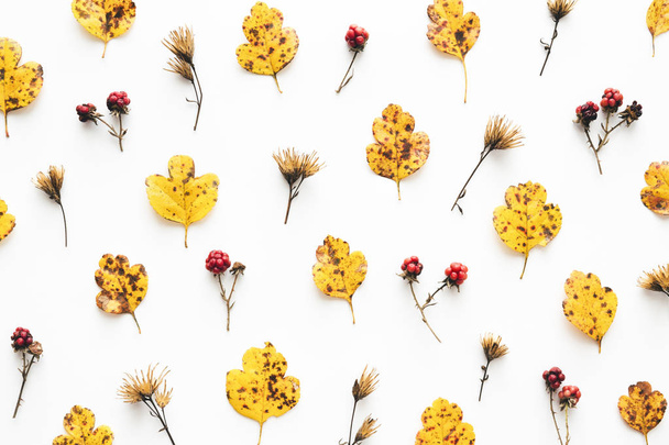 Őszi minta levelekkel és bogyókkal - Fotó, kép