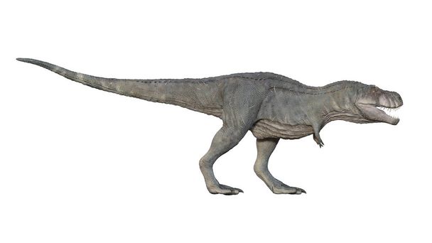 3D render van Tyrannosaurus Rex op een witte achtergrond - Foto, afbeelding