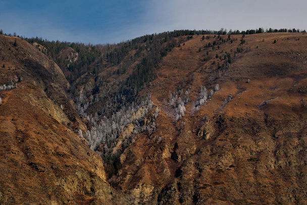 Rosja. góry Ałtaj. Pokryte mrozem gór wokół doliny rzeki Chulyshman. - Zdjęcie, obraz
