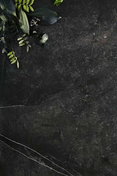 Tummanvihreä trooppiset lehdet mockup luonnon musta kivi backgro
 - Valokuva, kuva