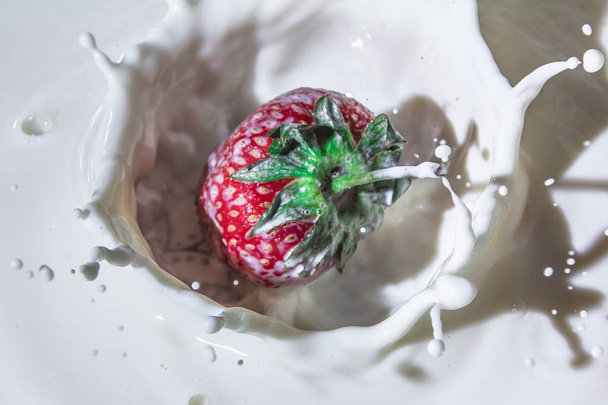 Juicy strawberry flavor. Splashes of milk. Freshness of summer. Fruits. Fruit freshness. Berries. Still-life. Strawberries are like an explosion of taste. Strawberries and cream. Red berry on white background. - Foto, immagini
