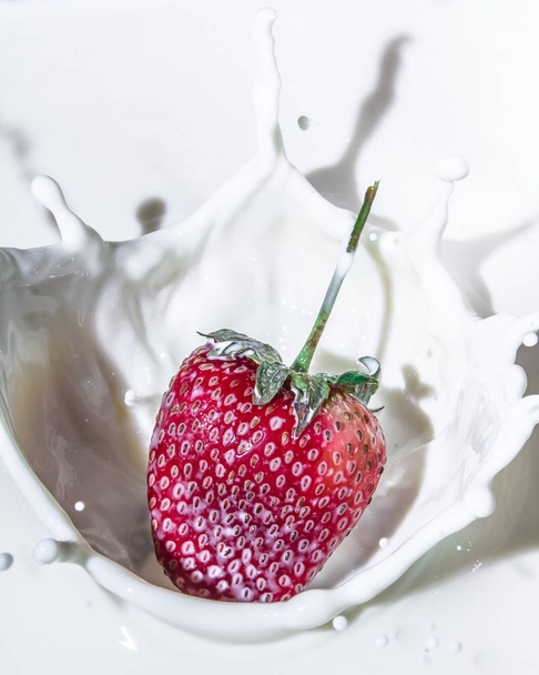 Juicy strawberry flavor. Splashes of milk. Freshness of summer. Fruits. Fruit freshness. Berries. Still-life. Strawberries are like an explosion of taste. Strawberries and cream. Red berry on white background. - Foto, afbeelding