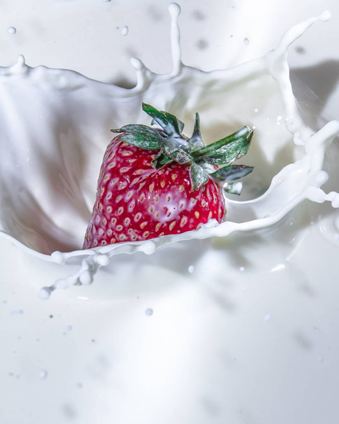 Juicy strawberry flavor. Splashes of milk. Freshness of summer. Fruits. Fruit freshness. Berries. Still-life. Strawberries are like an explosion of taste. Strawberries and cream. Red berry on white background. - 写真・画像