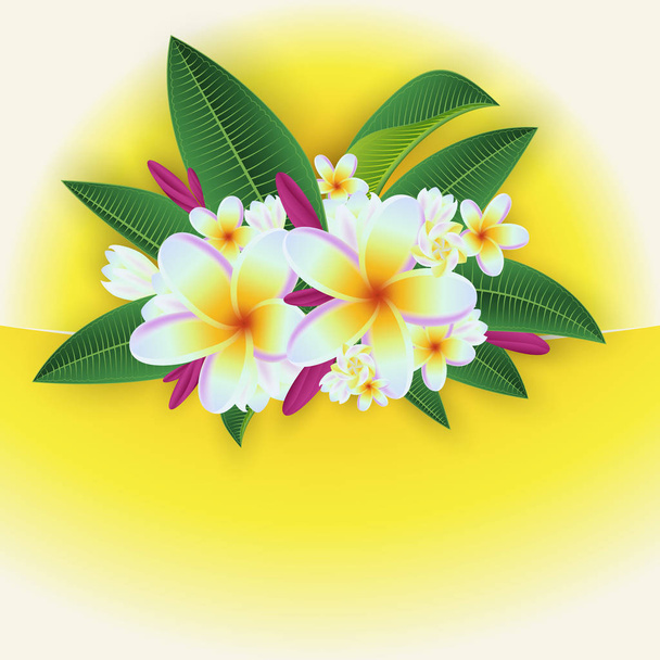 Tropické dekorace Plumeria - Vektor, obrázek