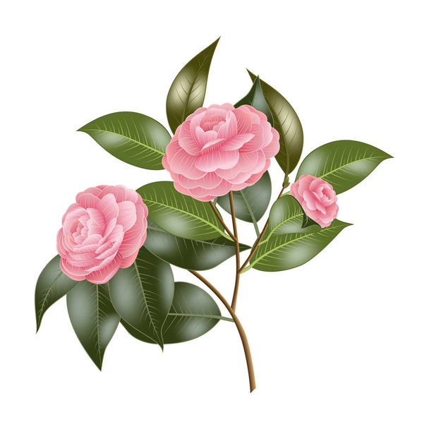 ág rózsaszín rózsával - Vektor, kép