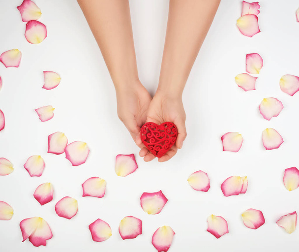 mains féminines tiennent coeur rouge, fond blanc
  - Photo, image