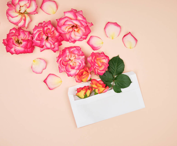 桃のバックグローンに黄色いバラの芽と白い紙の封筒 - 写真・画像