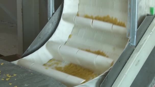 Surowe spaghetti poruszają się na przenośniku - Materiał filmowy, wideo