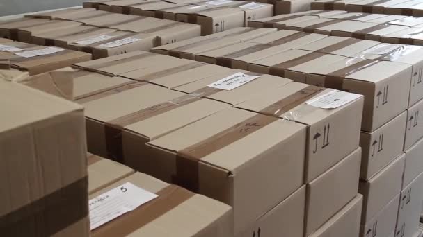 Stacks of cardboard boxes in warehouse of factory. - Footage, Video