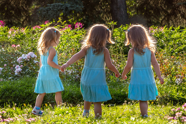 Όμορφη τρία μικρά κορίτσια αδελφές με μακριά ξανθά μαλλιά σε πανομοιότυπα μπλε φορέματα φαίνονται παρόμοια στο καλοκαιρινό κήπο ανάμεσα στα λουλούδια. - Φωτογραφία, εικόνα