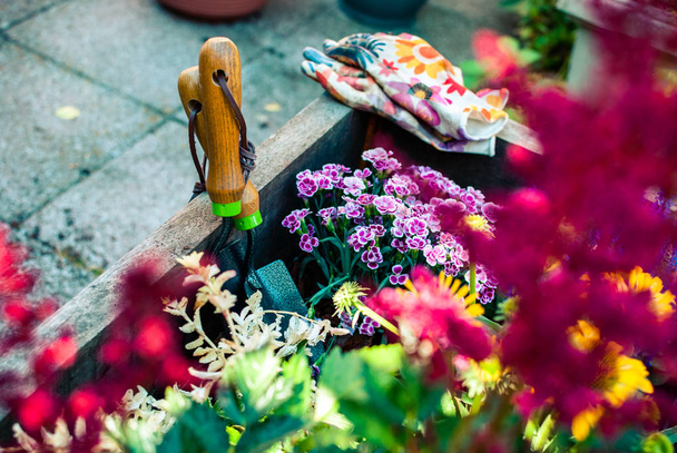 frisch gepflanzter Pflanzkübel mit Gartengeräten. Hobbys und Freizeit. Gartenarbeit im Sommer. - Foto, Bild