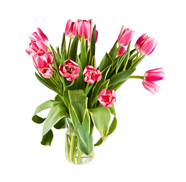 many red tulips - Фото, изображение