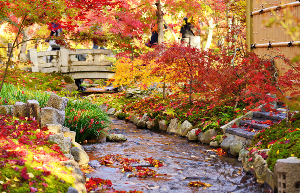 Fall Foliage in Kyoto - Photo, Image