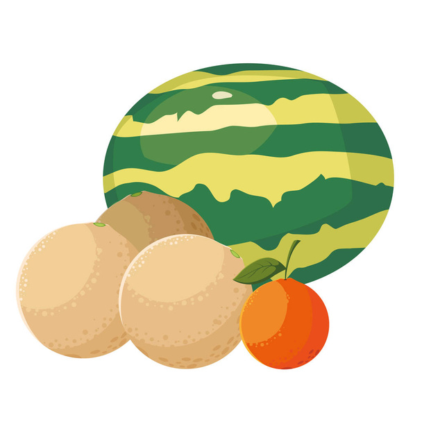 świeże owoce arbuz melon i pomarańczowy - Wektor, obraz