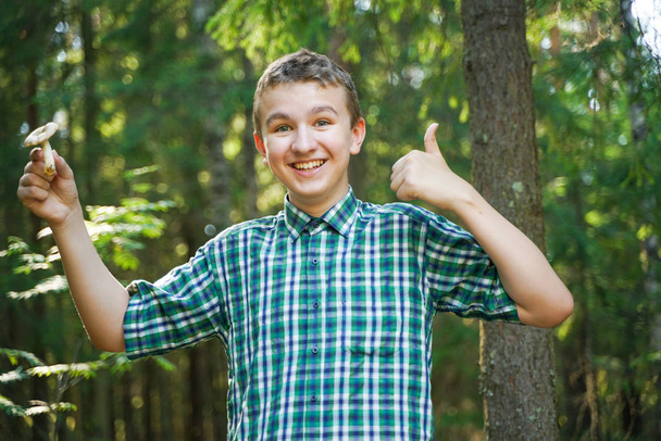 mladík s houbami v lese v letním dnu - Fotografie, Obrázek