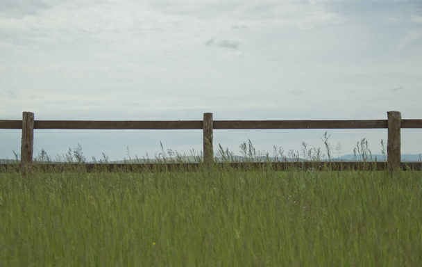 wooden fence in the field in daylight - Photo, Image