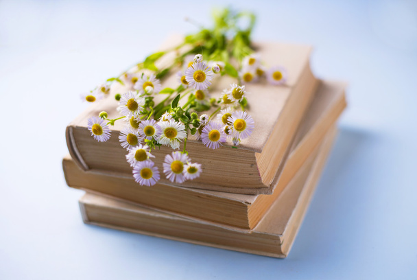 Fresh white daisies on a pile of books - Фото, зображення