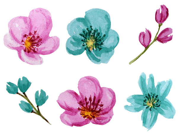 Beautiful bright colors watercolor flowers set. Pink and turquoise flower Isolated on white background. - Photo, image