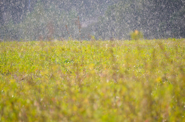 秋の天気:緑のフィールドに盲目の暖かい雨  - 写真・画像
