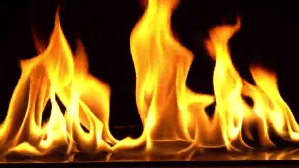 Lassú mozgás videofelvétel, Tűz lángok Gyújtás és égés.Valódi tűz, Egy sor valódi lángok gyulladnak a fekete háttér. - Felvétel, videó