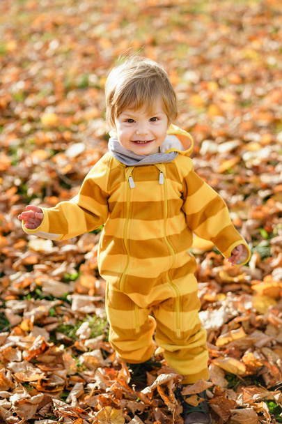 Ευτυχισμένο αγοράκι που γελάει και παίζει το φθινόπωρο στη φύση με τα πόδια στο πάρκο - Φωτογραφία, εικόνα